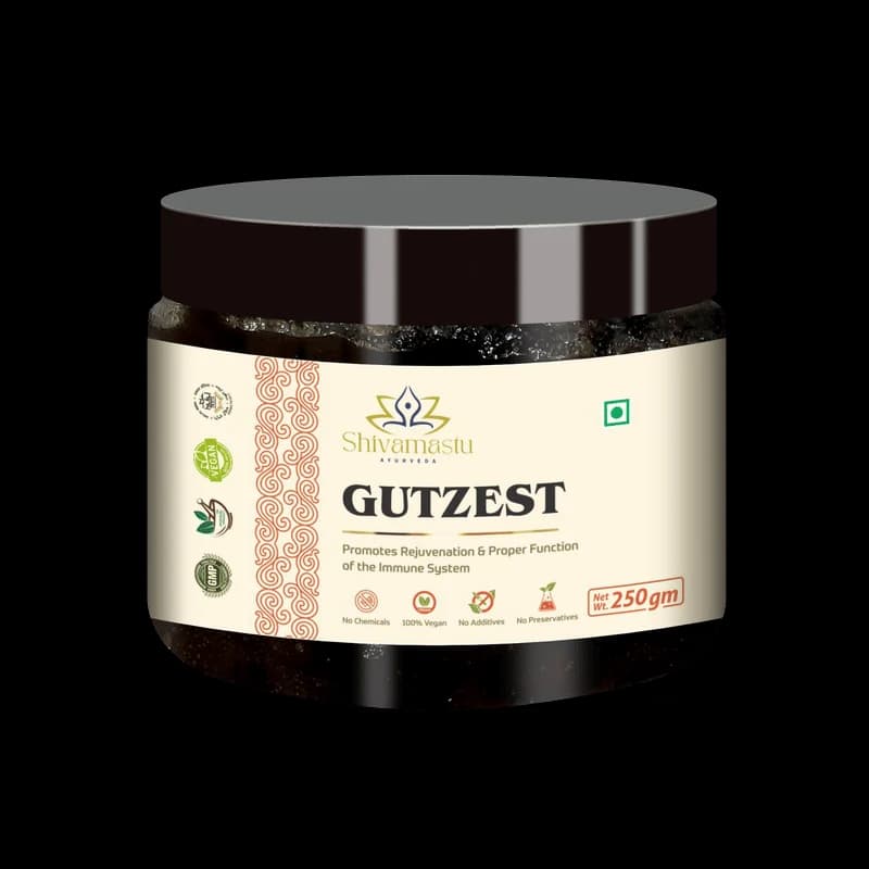 GUTZEST Chyawanprash 250g, Ayurvedic Herbal Jam with 52 Herbs, Immune Support & Whole-Body Rejuvenation
